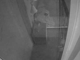 voyeurcam casa salsa bathroom 12